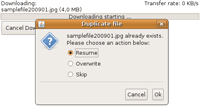 JFileDownload Linux screenshot - Click to get more
